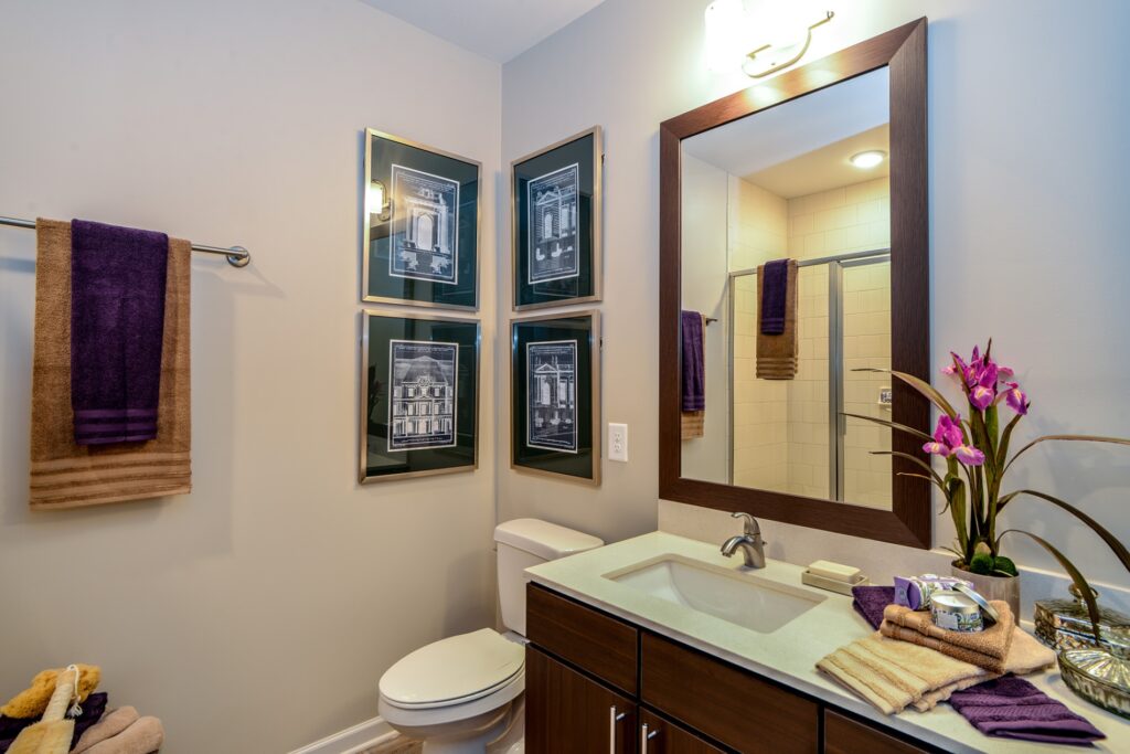 Bathroom with large mirror and marble counter.